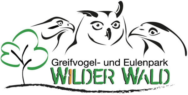 Greifvogel und Eulenpark Wilder Wald